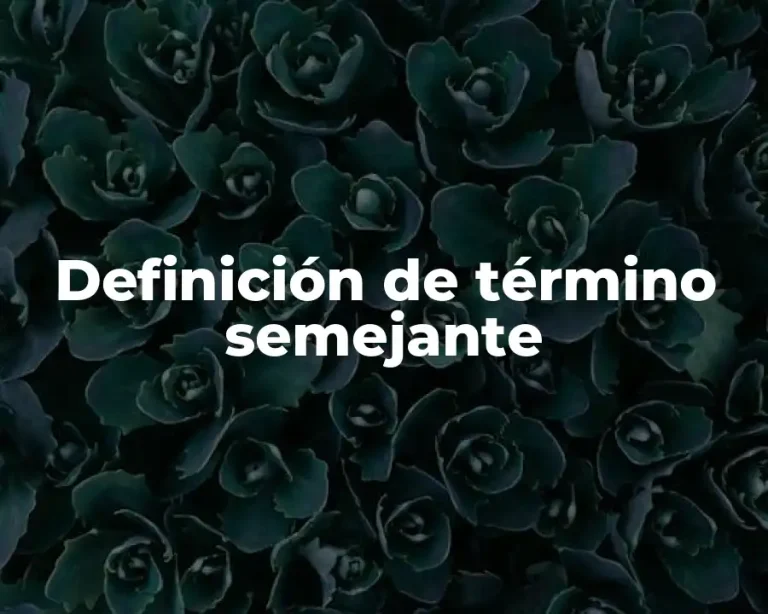 Definición de término semejante