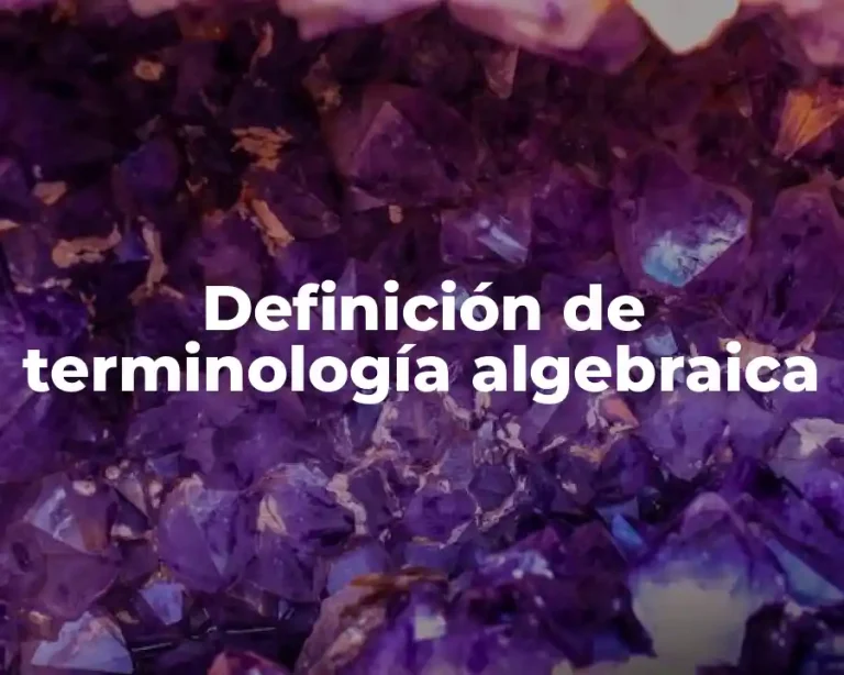 Definición de terminología algebraica