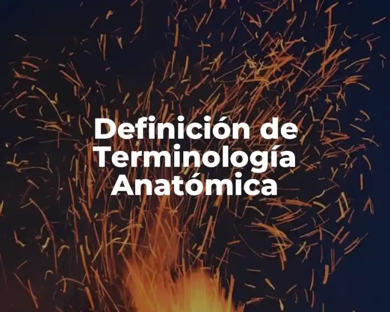 Definición de Terminología Anatómica