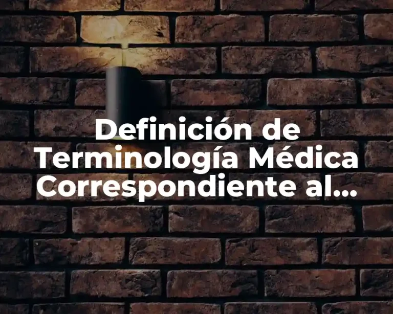 Definición de Terminología Médica Correspondiente al Examen Físico General