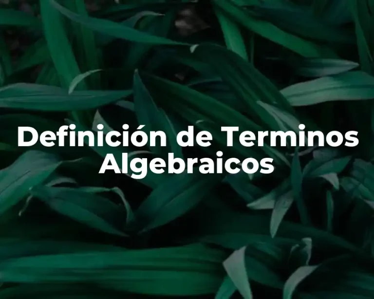 Definición de Terminos Algebraicos