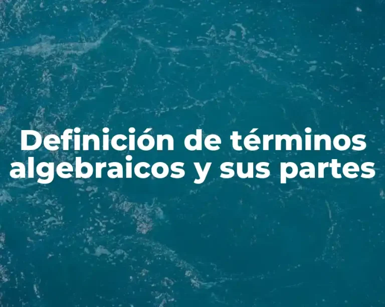 Definición de términos algebraicos y sus partes