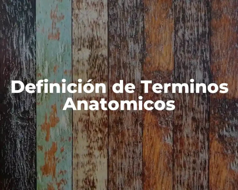 Definición de Terminos Anatomicos