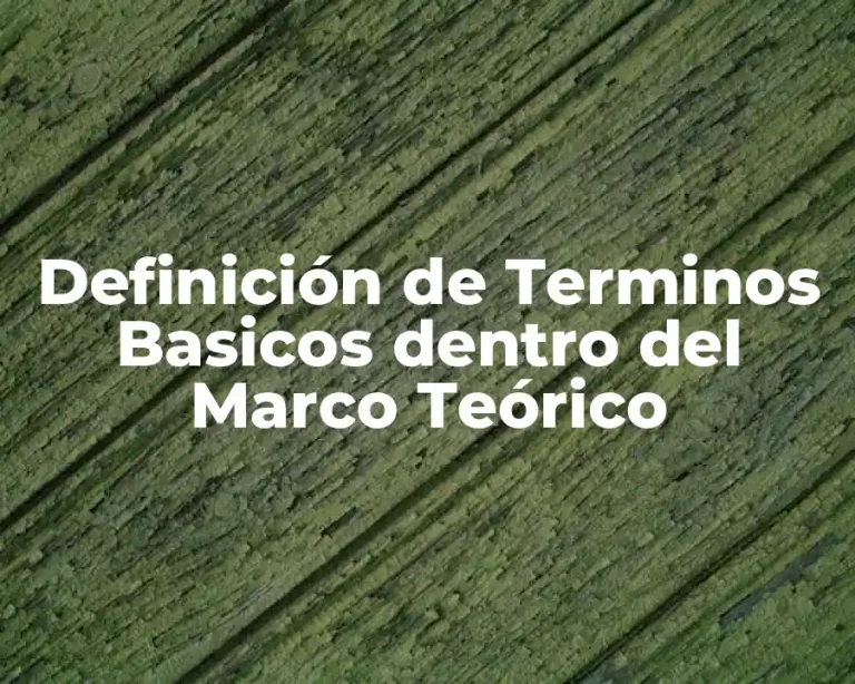 Definición de Terminos Basicos dentro del Marco Teórico