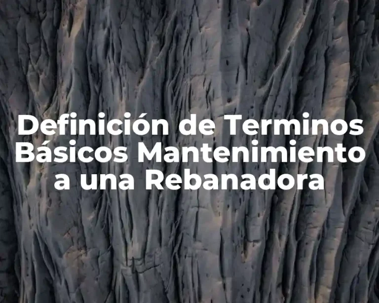 Definición de Terminos Básicos Mantenimiento a una Rebanadora