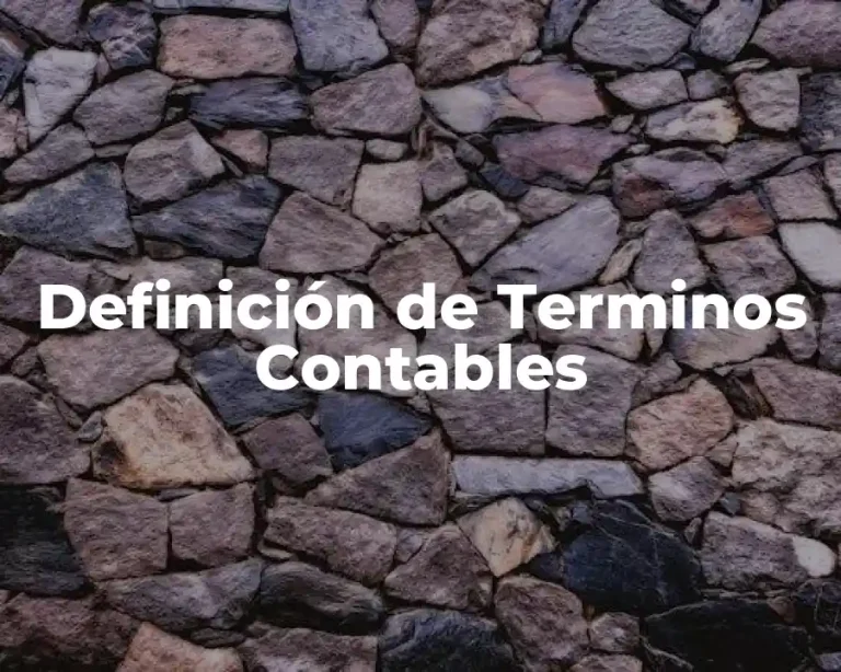 Definición de Terminos Contables