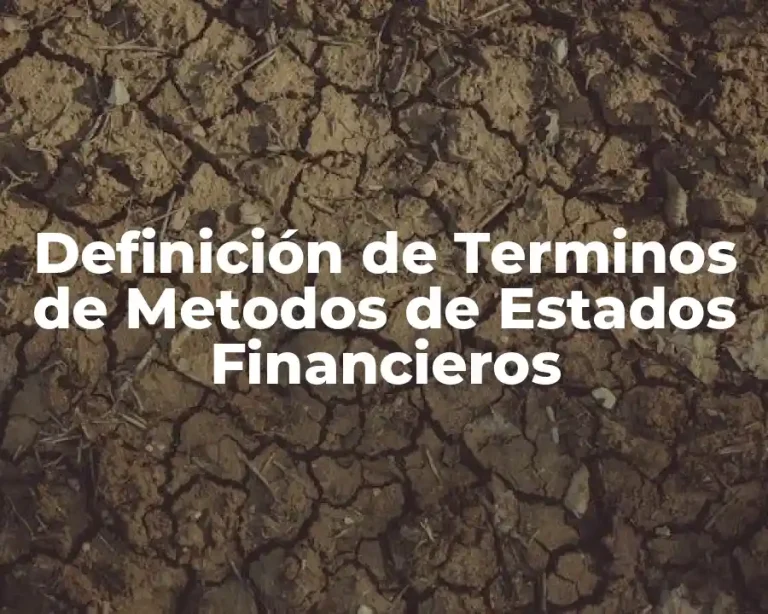 Definición de Terminos de Metodos de Estados Financieros