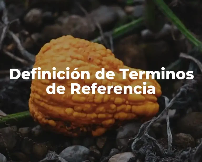 Definición de Terminos de Referencia