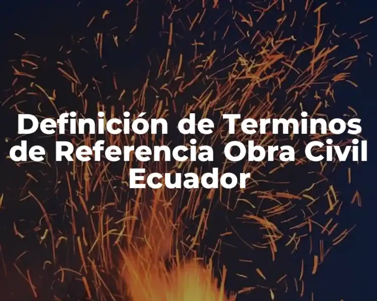 Definición de Terminos de Referencia Obra Civil Ecuador