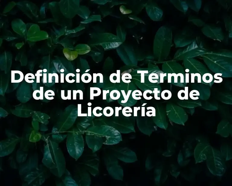 Definición de Terminos de un Proyecto de Licorería