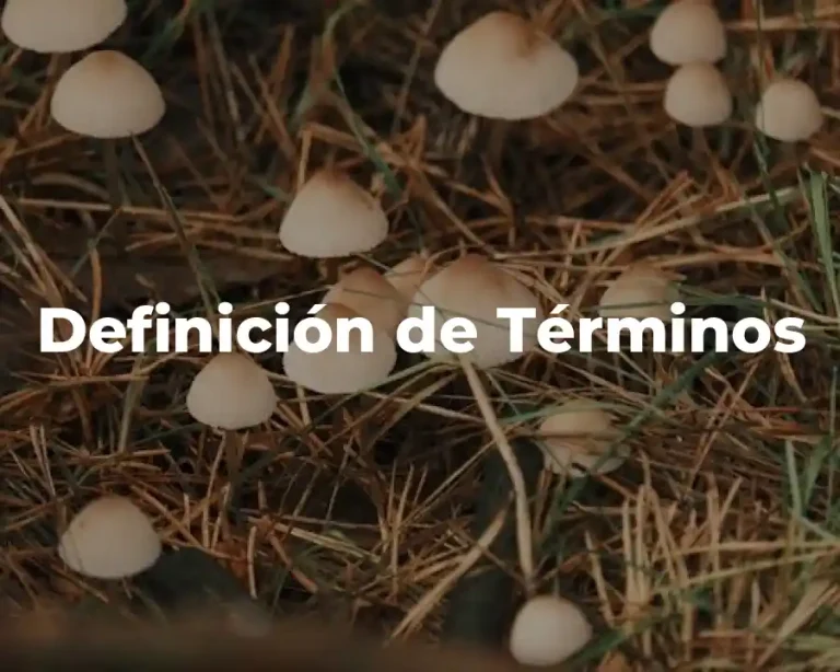 Definición de Términos