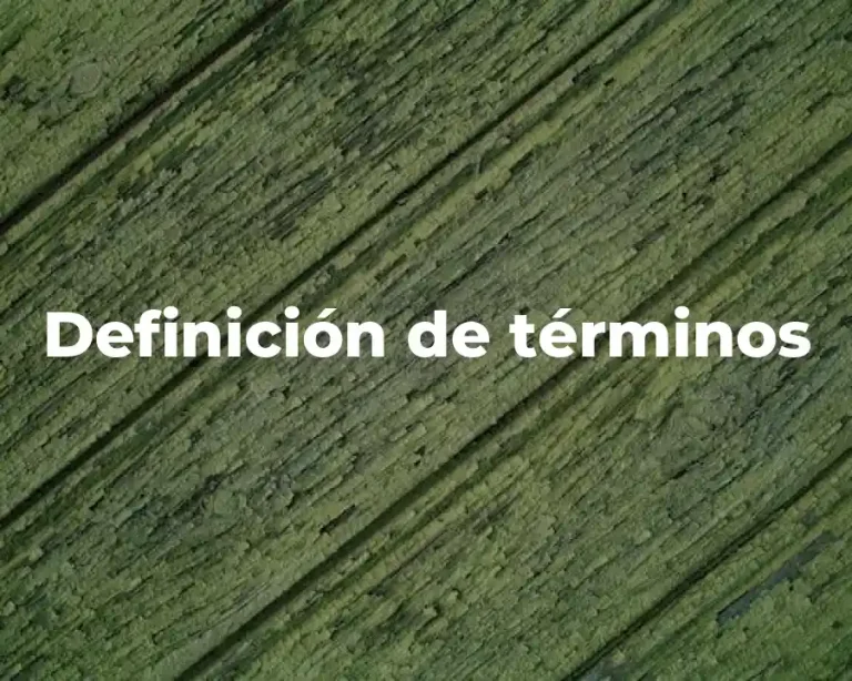 Definición de términos