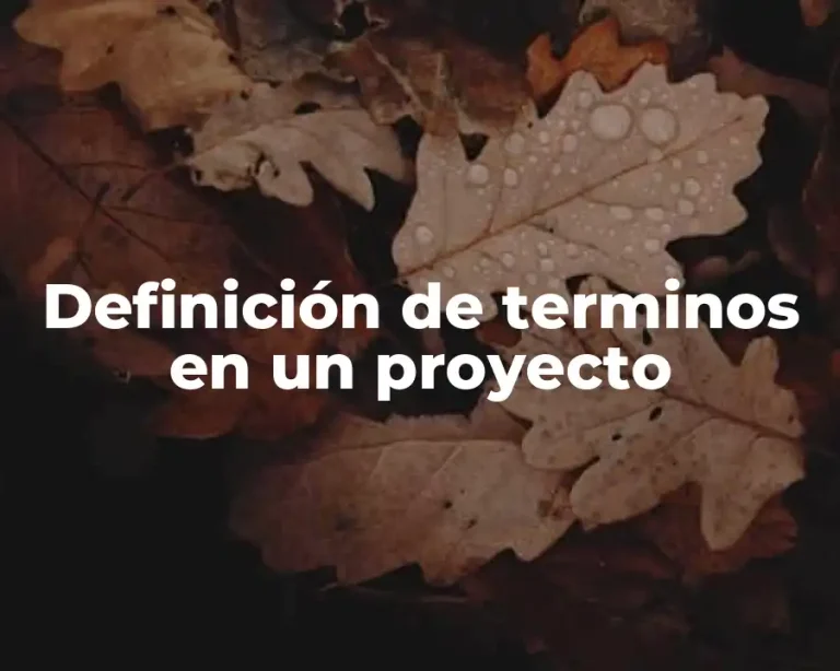 Definición de terminos en un proyecto