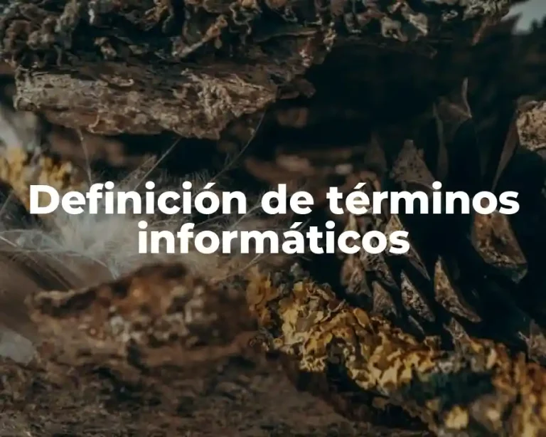 Definición de términos informáticos