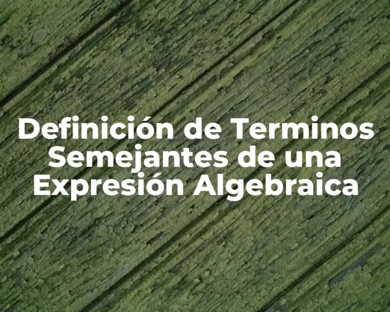 Definición de Terminos Semejantes de una Expresión Algebraica