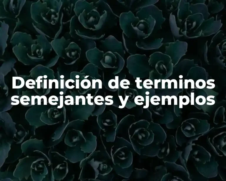 Definición de terminos semejantes y ejemplos