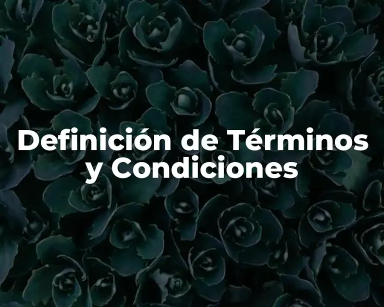 Definición de Términos y Condiciones
