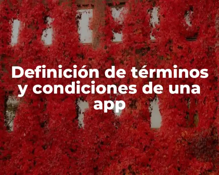 Definición de términos y condiciones de una app