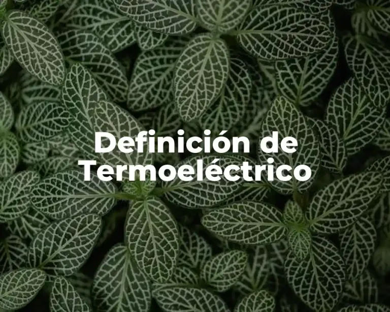 Definición de Termoeléctrico