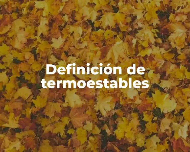 Definición de termoestables