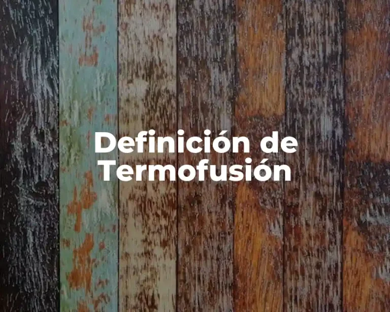 Definición de Termofusión