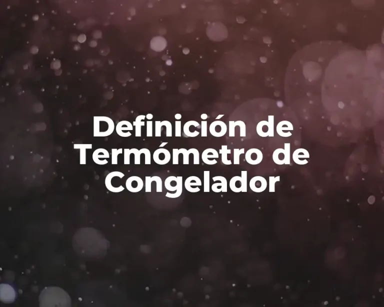 Definición de Termómetro de Congelador
