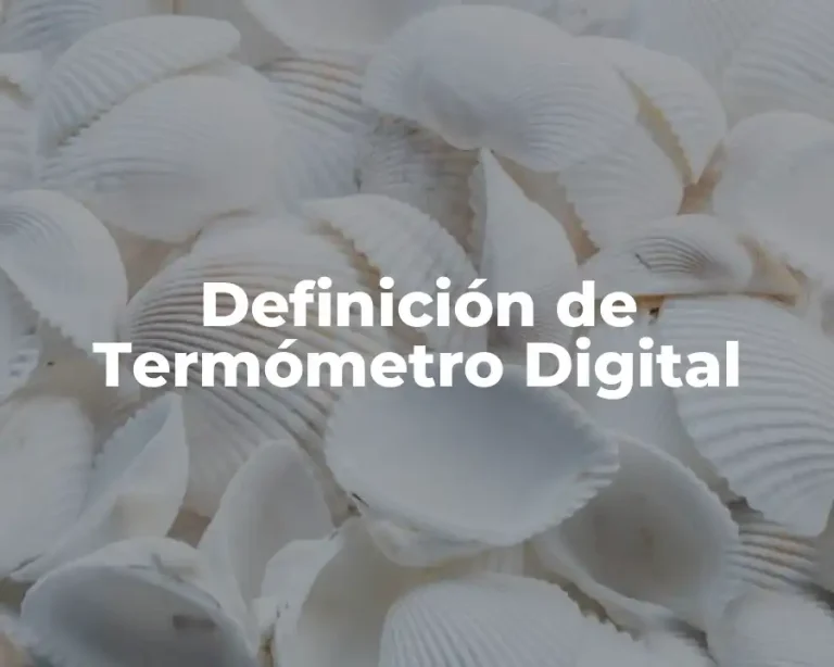 Definición de Termómetro Digital