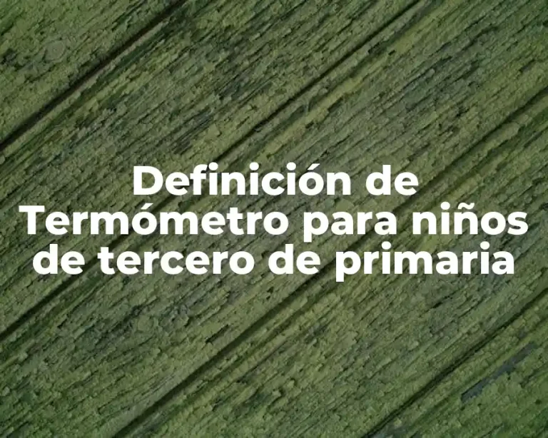 Definición de Termómetro para niños de tercero de primaria