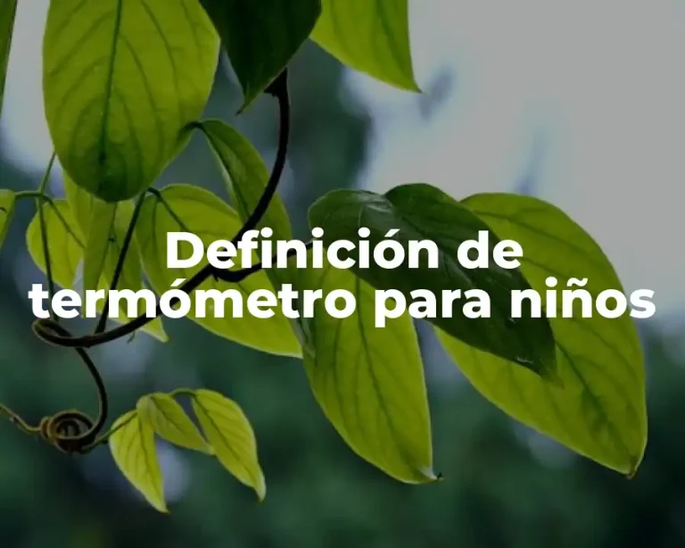 Definición de termómetro para niños