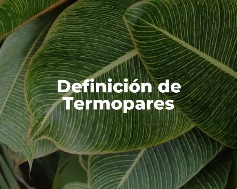 Definición de Termopares