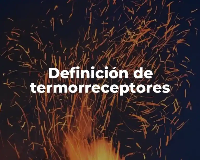 Definición de termorreceptores