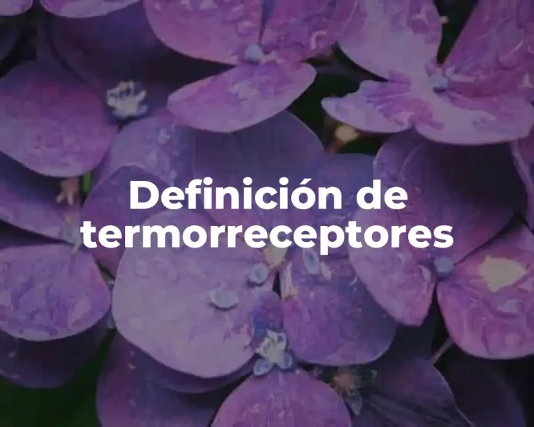 Definición de termorreceptores