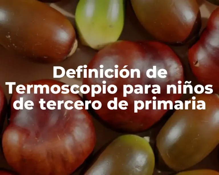 Definición de Termoscopio para niños de tercero de primaria