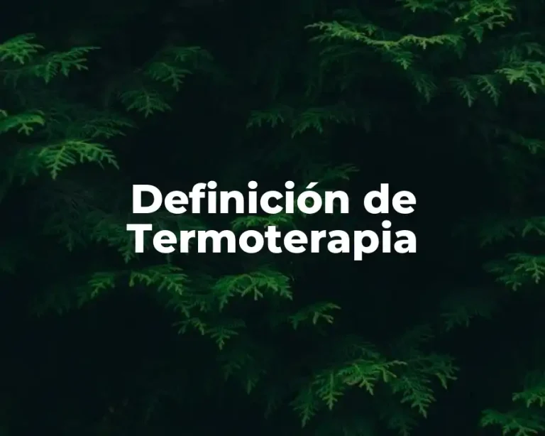 Definición de Termoterapia