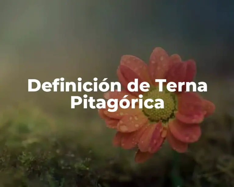 Definición de Terna Pitagórica