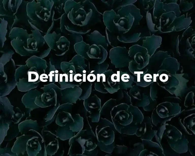 Definición de Tero