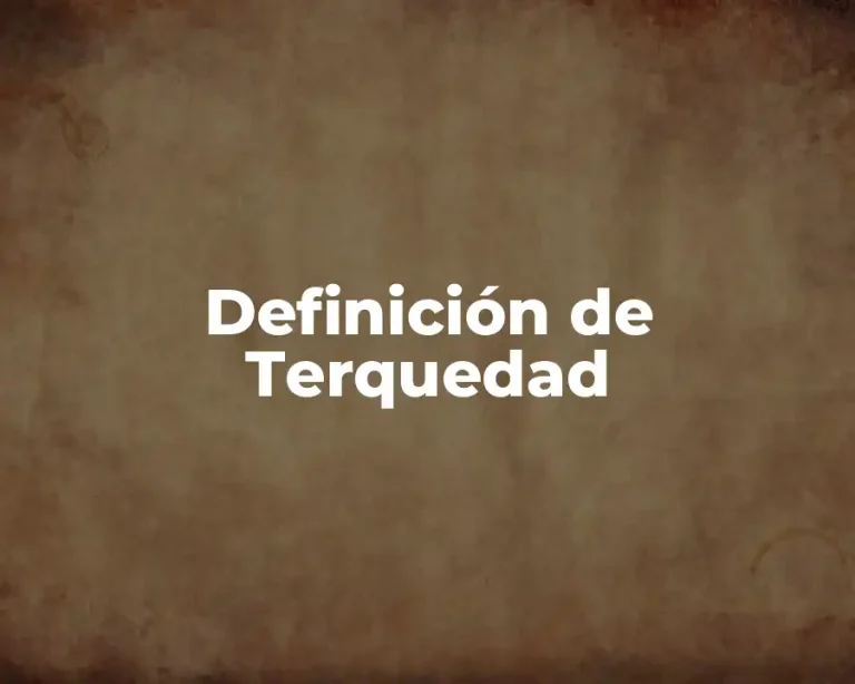 Definición de Terquedad