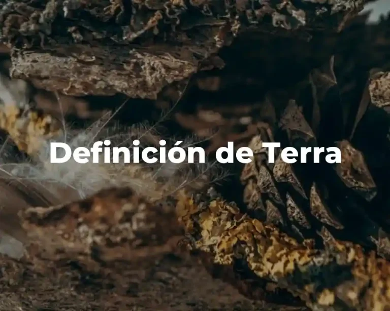 Definición de Terra