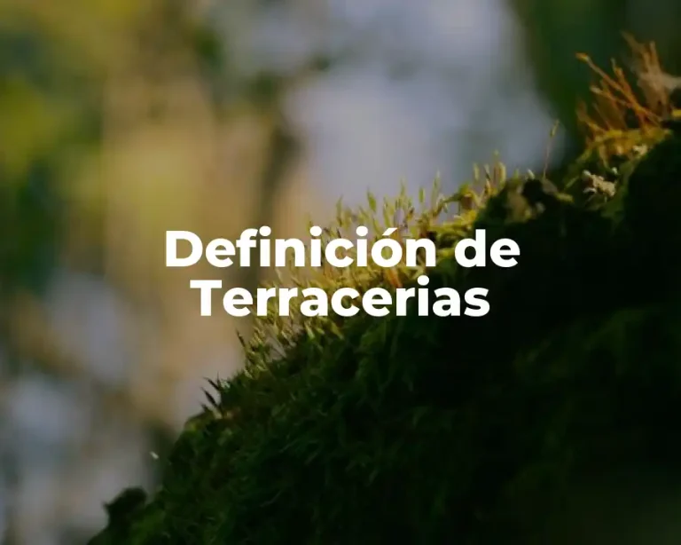 Definición de Terracerias