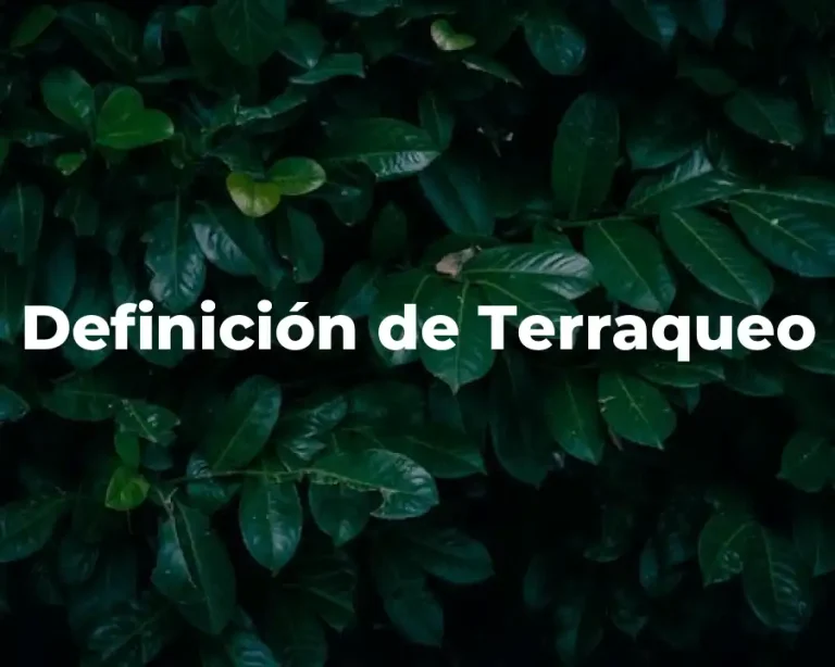 Definición de Terraqueo