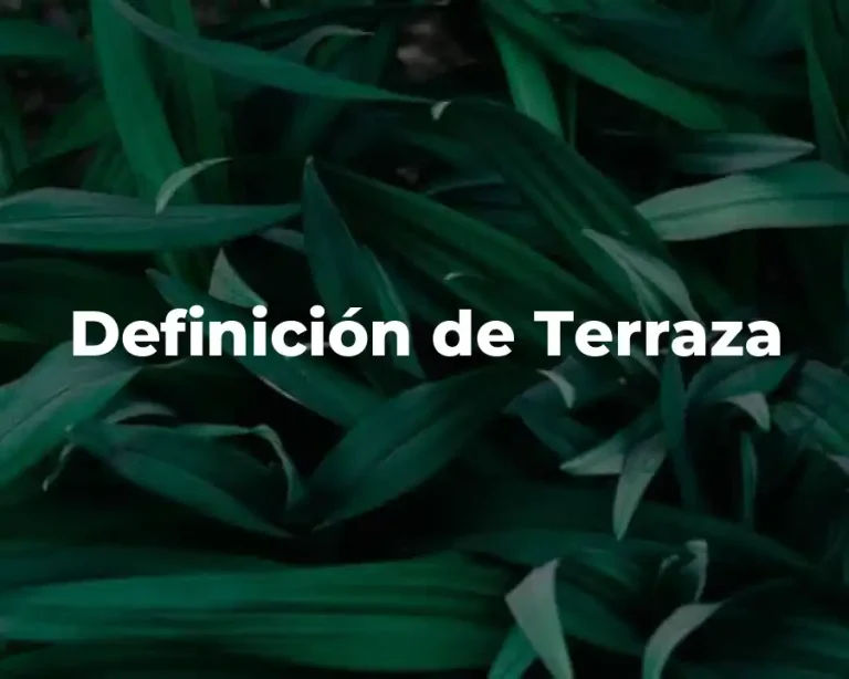 Definición de Terraza