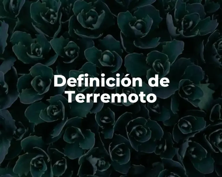 Definición de Terremoto