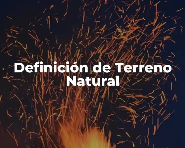 Definición de Terreno Natural