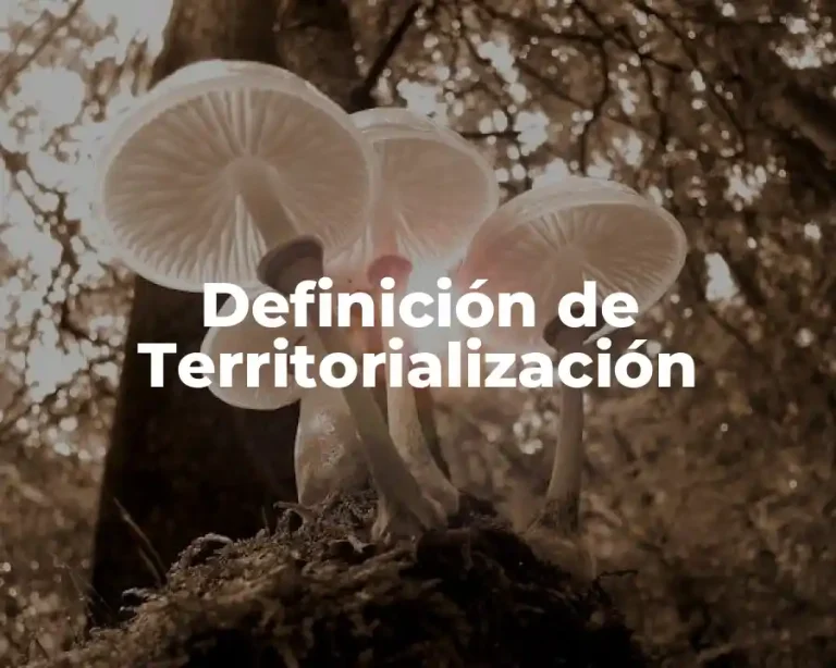 Definición de Territorialización