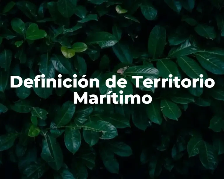 Definición de Territorio Marítimo