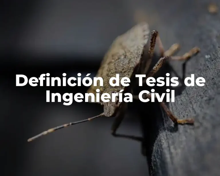 Definición de Tesis de Ingeniería Civil