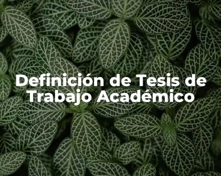 Definición de Tesis de Trabajo Académico