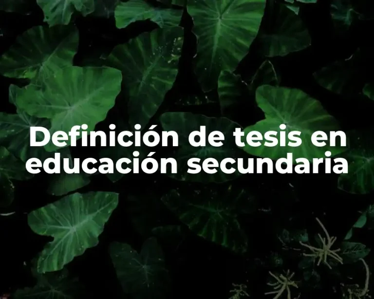Definición de tesis en educación secundaria