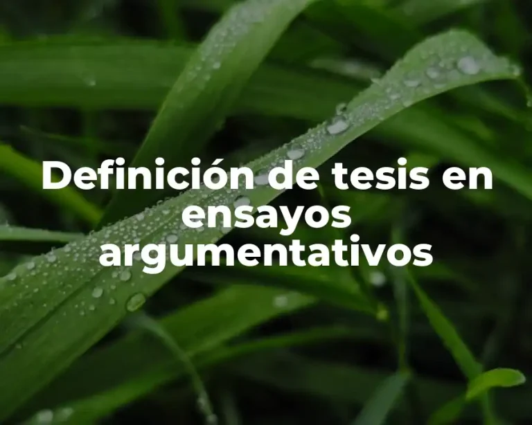 Definición de tesis en ensayos argumentativos