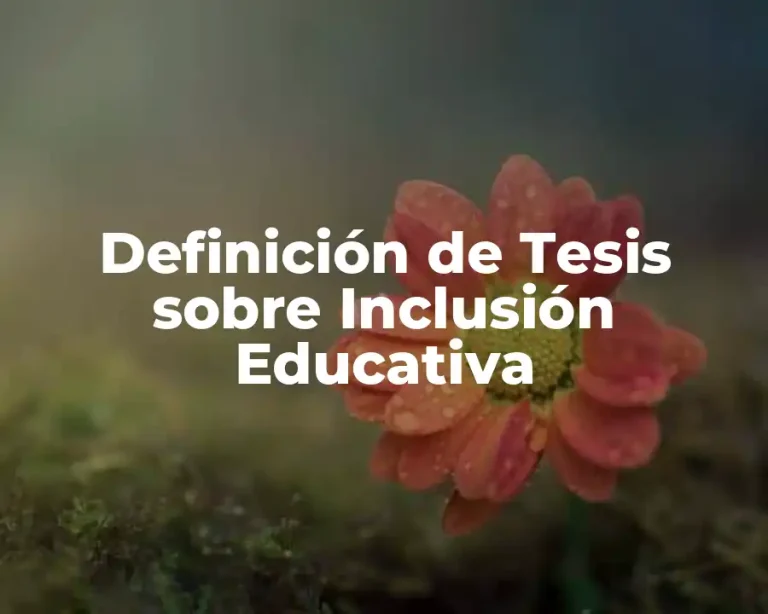 Definición de Tesis sobre Inclusión Educativa